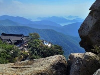 기도빨 좋은 남해 금산에 고릴라가…절경이 무려 38개