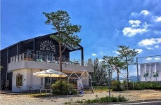 퇴직금 털어 차린 양계장 폭망 후 찐빵으로 재기한 사연