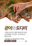 너희 너무 비슷하게 생겼어 “광어 VS 도다리 구별법”