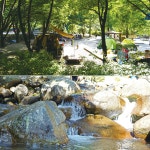 벚꽃 말고 캠핑하세요! 아이와 갈만한 캠핑지 베스트 4