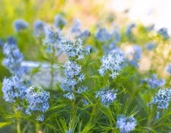 자연을 일상 속으로…정원 테마여행 ⓛ거창