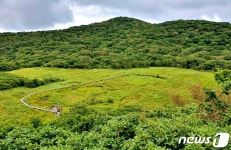 하늘 아래 맞닿은 거대 습지…4500살 용늪 속으로