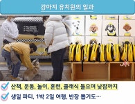 영어 유치원 비용은 우습죠 수학여행에 캠프파이어까지 한다는 강아지 유치원 한 달 비용