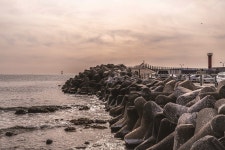 포항 구룡포 과메기