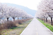 다람재에 올라 낙동강이 품은 도동서원을 한눈에 보다 : ZUM 허브 다람재에 올라 낙동강이 품은 도동서원을 한눈에 보다