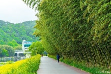 따스한 햇살을 만끽하는 공원 나들이 BEST 4 : ZUM 허브 따스한 햇살을 만끽하는 공원 나들이 BEST 4