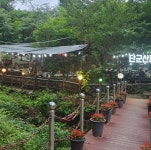 이열치열, 닭백숙으로 더위 날리자! 계곡뷰 닭백숙 맛집 5곳