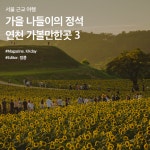 서울 근교 여행 :: 가을 나들이의 정석, 연천 가볼만한곳 3