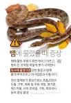 물렸다면 꼼짝 마라?! 벌에 쏘이거나 뱀에 물렸을 때 ‘응급처치법’