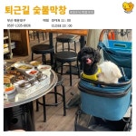현지인들도 잘 모른다는 부산 애견동반 맛집 BEST4 (+주차, 꿀팁)