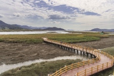 편안한 숨결, 강진