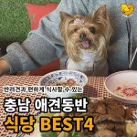 강아지도 좋아해요...충남에서 가볼만한 애견 동반 맛집 리스트 BEST4 (+꿀팁)