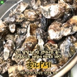 굴의 계절이 왔다! 굴 맛집 추천 : ZUM 허브 굴의 계절이 왔다! 굴 맛집 추천