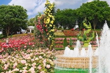 봄에 개최되는 전국 장미축제 : ZUM 허브 봄에 개최되는 전국 장미축제