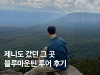 비 와도 망하지 않았던 시드니 블루마운틴 투어 후기(+ 페더데일 동물원)