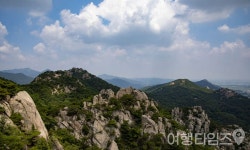 정상에 고양이가 기다려요 고양이 덕분에 유명해진 등산 명소