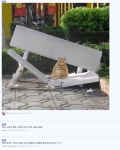 동작구청 미쳤나봄.JPG