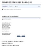 25살에 입양아인줄 알게되었던 사람 후기