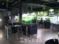 물멍 때리며 티타임을…아쿠아 갤러리 비워터