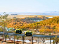 화담숲보다 한적하고 예약도 필요 없어요… 모노레일·전망대 함께 즐기는 가을 명소