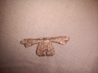 Thomas Mount, Parangi Malai, St.Thomas Mount, Tamil Nadu 600016, India on 2023년 07월 02일 (일) at 12:11 오전 by Jomi Jose... 