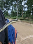Dendrelaphis tristis from RWPX+W8X, Brahmaninadi, Odisha 770038, India on 2024년 08월 03일 (토) at 04:57 오후 by Digvijay... 