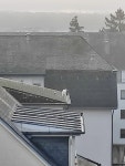대백로 from 8040 Strassen, Luxembourg on 2024년 12월 26일 (목) at 10:20 오전 by Alexander Skinner · iNaturalist 대백로... 