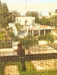 Upupa epops epops from QV7X+MHF, Tawi Vihar, Jammu, 180019 on 2025년 03월 13일 (목) at 02:56 오후 by Soumyadip Das... 