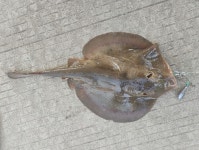 Morelos 221, Centro Histórico, 28200 Manzanillo, Col., México on 2025년 04월 27일 (일) at 09:03 오전 by Juan Ramon Medina... 