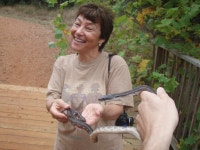 Pantherophis obsoletus from Lick Creek Park on 2007년 11월 20일 (화) by Marv. Mom had to be encouraged to help me hold it for... 