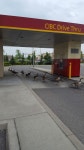 캐나다기러기 from 340 Laval Dr, Oshawa, ON L1J 6X3, Canada on... by Joey-Lynn France · iNaturalist 캐나다기러기 (Branta canadensis)