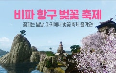 비파 항구는 지금 분홍색 물결! 벚꽃 축제 구경하러 놀러 오세요 - 인벤 비파 항구는 지금 분홍색 물결! 벚꽃 축제 구경하러 놀러 오세요