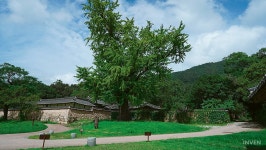 [기획] 한국 신화 게임이 되리 #7 땅끝 그 이상의 문화, 해남