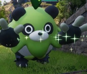 [팰도감 No.033] 초판다