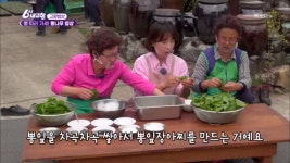 [고향밥상] 뽕 따러 가세! 뽕나무 밥상 - 경기도 가평 - KBS