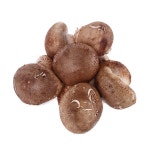 생 송화 버섯 행사 - 메가마트몰 [메가마트몰] 생 송화 버섯 행사