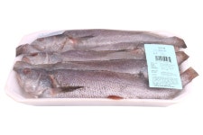 참민어(중/손질) - 메가마트몰 [메가마트몰] 참민어(중/손질)