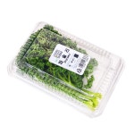 파슬리 - 메가마트몰 [메가마트몰] 파슬리