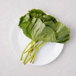 곤달비 - 메가마트몰 [메가마트몰] 곤달비