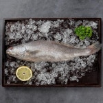 참민어(특/해동) - 메가마트몰 [메가마트몰] 참민어(특/해동)