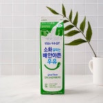 남양 맛있는 GT 편안소화 고소한 락토프리 - 메가마트몰 [메가마트몰] 남양 맛있는 GT 편안소화 고소한 락토프리