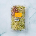 모둠 새싹 - 메가마트몰 [메가마트몰] 모둠 새싹