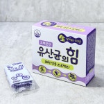 고려은단 유산균의 힘 - 메가마트몰 [메가마트몰] 고려은단 유산균의 힘