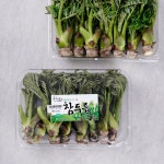 남원 참두릅 기획 - 메가마트몰 [메가마트몰] 남원 참두릅 기획