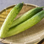 백오이 국내산 - 메가마트몰 [메가마트몰] 백오이 국내산