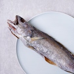 반건조 민어(중) - 메가마트몰 [메가마트몰] 반건조 민어(중)