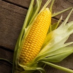 괴산 대학 단옥수수 - 메가마트몰 [메가마트몰] 괴산 대학 단옥수수