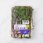 땅두릅 기획 - 메가마트몰 [메가마트몰] 땅두릅 기획