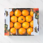 [알리] 오렌지box/미국산 - 메가마트몰 [메가마트몰] [알리] 오렌지box/미국산