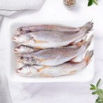 영상가이석태(해동/손질) - 메가마트몰 [메가마트몰] 영상가이석태(해동/손질)